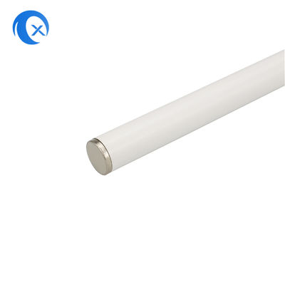 2.4G πανκατευθυντική κεραία σταθμών βάσης φίμπεργκλας WiFi με τον αρσενικό συνδετήρα SMA